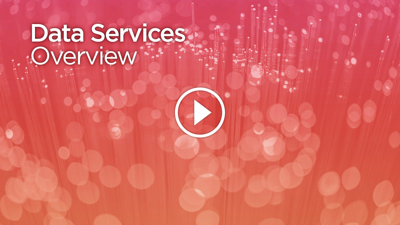 Data Services Overview